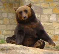 harzlife.de Westerhausen