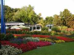 the-vardemans.net Westfallen