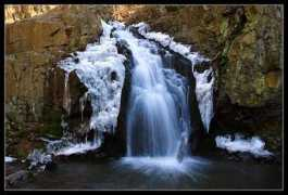 direb.familyqwest.com Westfield