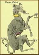 constellationsofwords.com Wezen