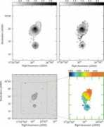 images.nrao.edu Wilcot