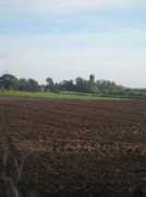 geograph.org.uk Wilcott