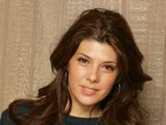 williamt.com Williamt