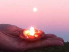 mitoaction.org Williamt