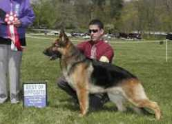 gsdcno.org Willimar