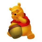 coolchaser.com Winniethepooh