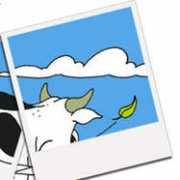 leventquivente.com Winnyfred