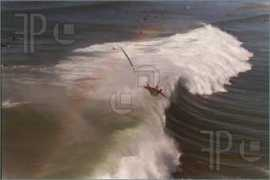 Wipeout