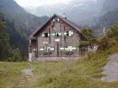Woedl