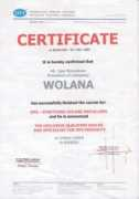 dpsgroup.ru Wolana
