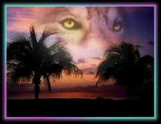 Wolfsky