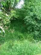 ecastles.co.uk Wollaston