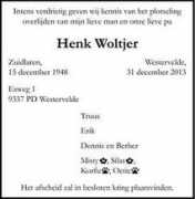 mensenlinq.nl Woltjer