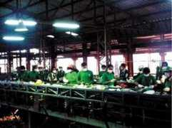 worldaware.org.uk Wongcharoen