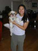 k9sbestfriend.com Wongwong