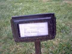 Woodall
