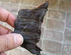 Woodfire