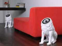 Woof