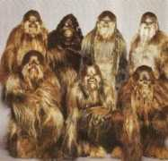 Wookies