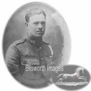 Woolacott