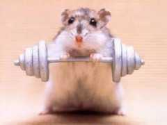 Workout