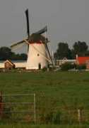 Woudt
