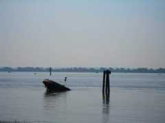 Wrack