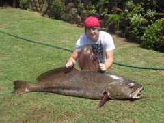 spearfishingsa.co.za Wrathmall