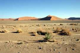 dieweltreisenden.de Wueste