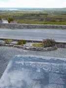 Wynnes