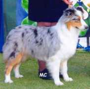 Wynonna