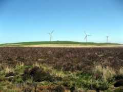 geograph.org.uk Wynt