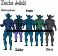 sharecg.com Xacho