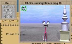 Xanim