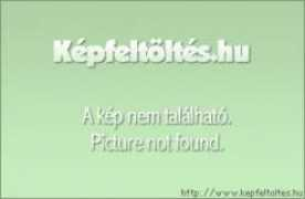 mateherbert.gportal.hu Xaster