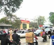 vietbao.vn Xebi