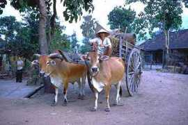 hoidautieng.com Xebo