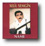 Xemgin