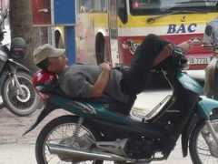 vietbao.vn Xeom