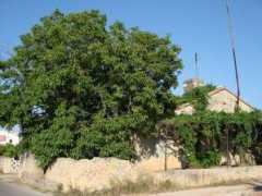 panoramio.com Xeraco