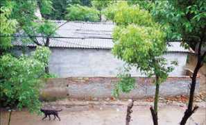 china.org.cn Xiangbao