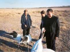7223.org Xianhai