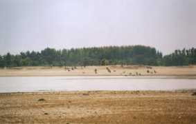 7223.org Xianhai