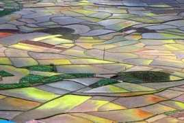 english.sina.com Xianhui