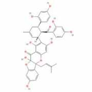 guide29816.guidechem.com Xianxin