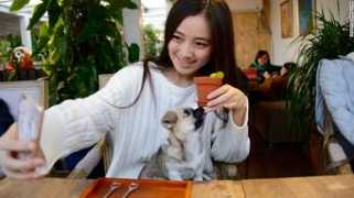 money.cnn.com Xiaoying
