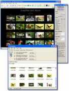 freeware365.com Xibit