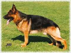 Xillo