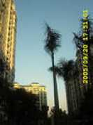 gz.soufun.com Xincheng