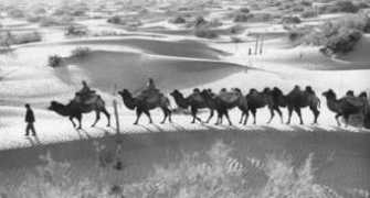 sacu.org Xinjiang